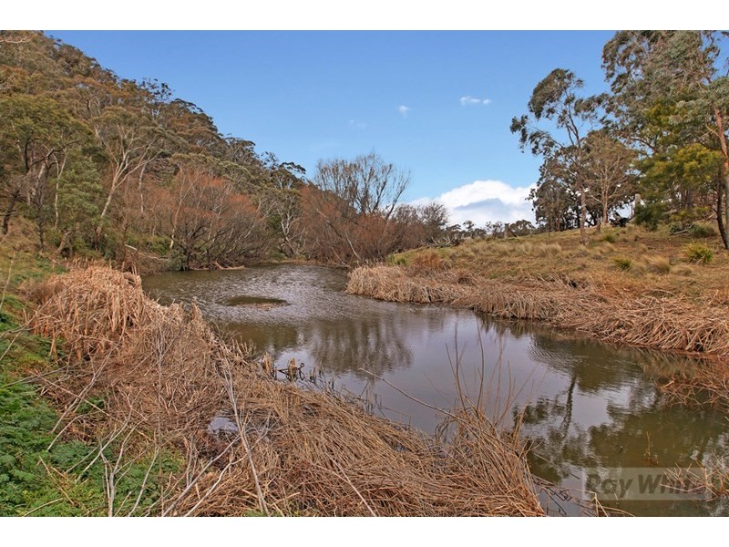 330 Rhyanna Road, Middle Arm NSW 2580