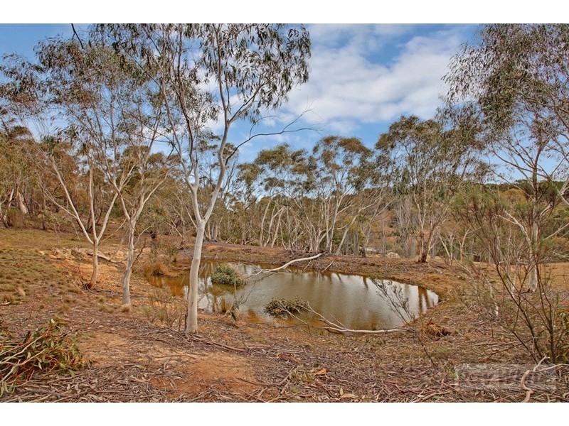 330 Rhyanna Road, Middle Arm NSW 2580