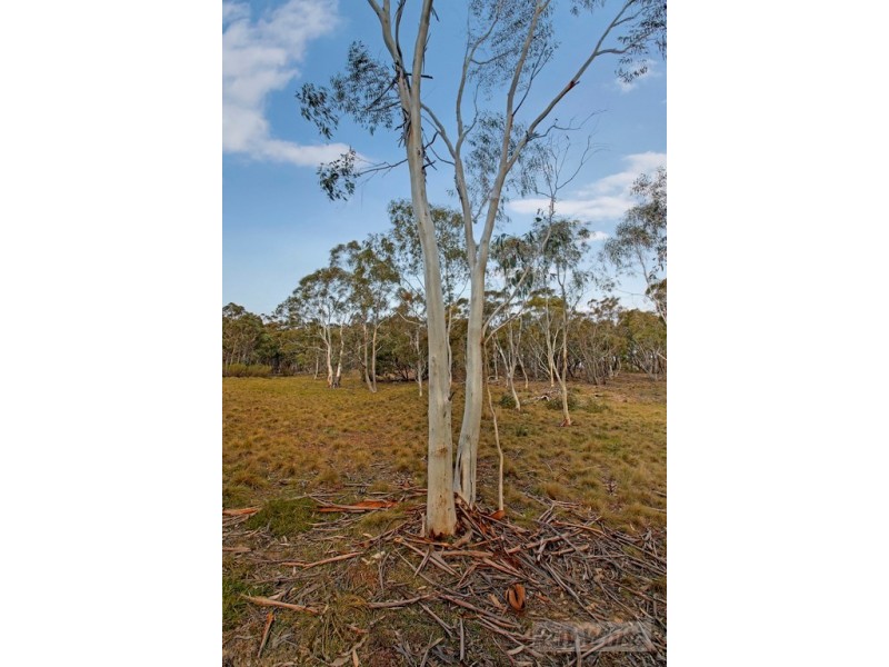 330 Rhyanna Road, Middle Arm NSW 2580