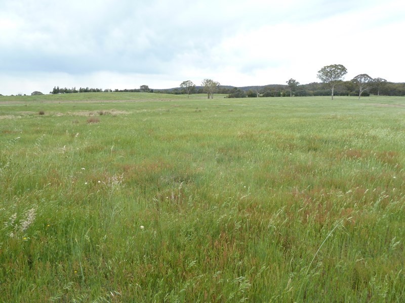 179 Thornford Road, Goulburn NSW 2580