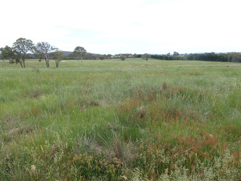 179 Thornford Road, Goulburn NSW 2580