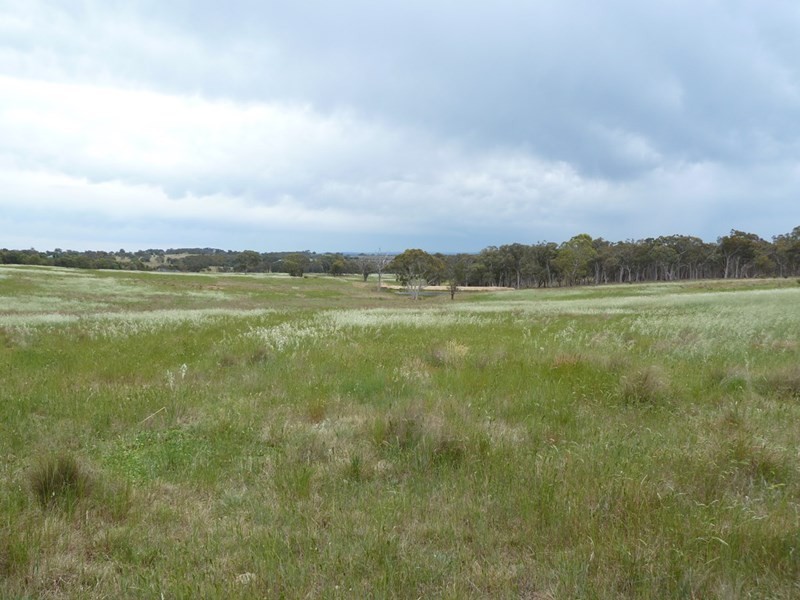 179 Thornford Road, Goulburn NSW 2580