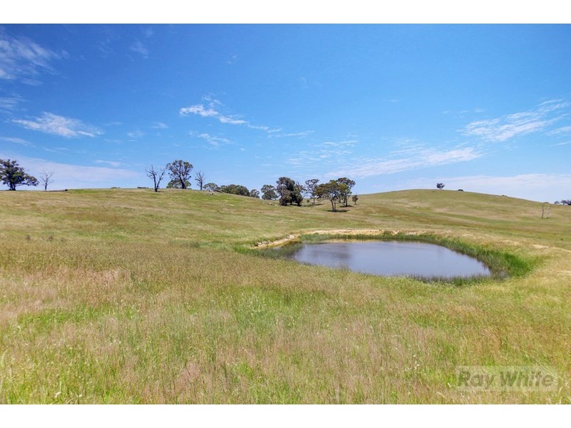 19 Betts Street, Binda NSW 2583