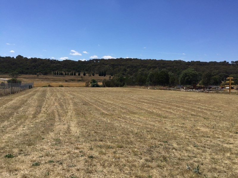 17 Pursehouse Place, Goulburn NSW 2580