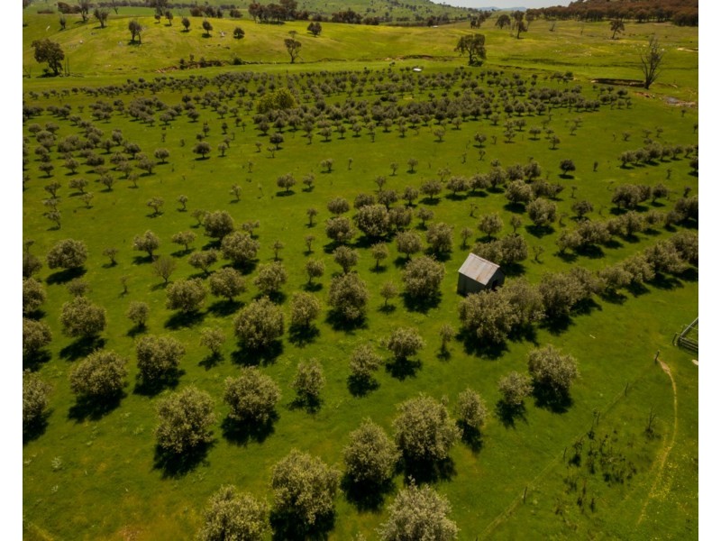 4849 Boorowa Road, Crookwell NSW 2583