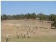 2560 Range Road, Bannister NSW 2580