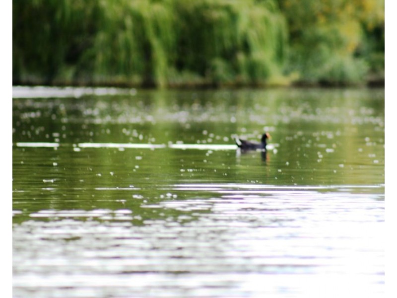 Lot 405 Sanctuary Drive, Goulburn NSW 2580