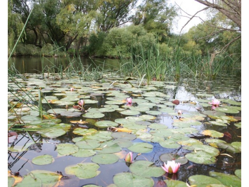 Lot 405 Sanctuary Drive, Goulburn NSW 2580