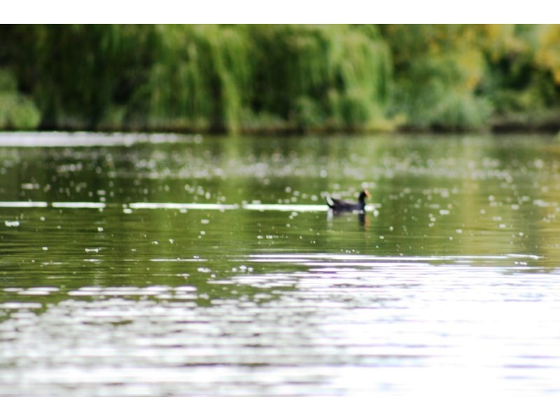 Lot 402 Sanctuary Drive, Goulburn NSW 2580