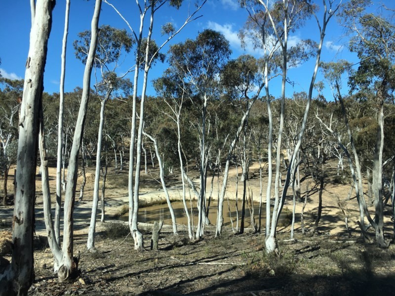 124 Rampion Hills Road, Marulan NSW 2579