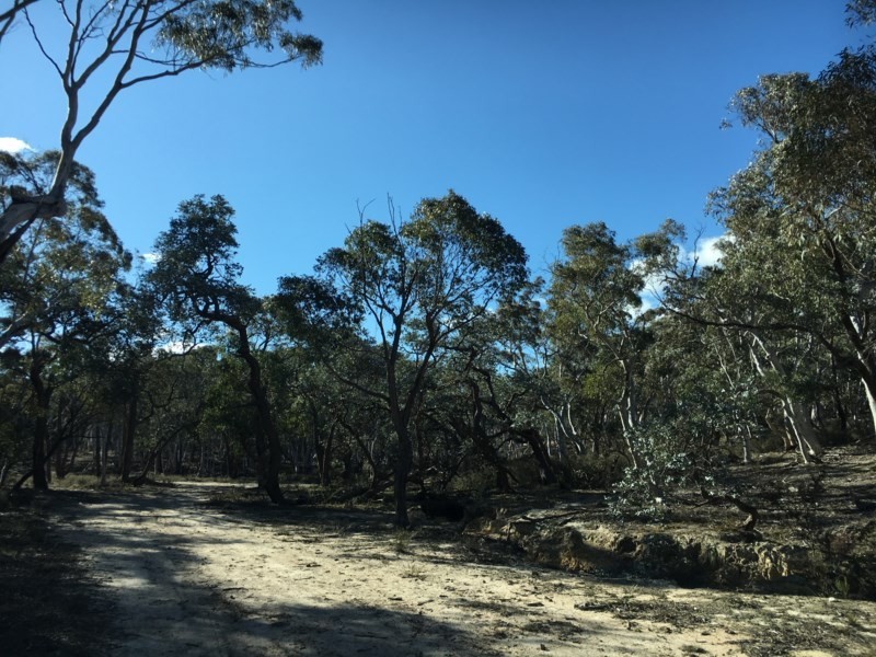 124 Rampion Hills Road, Marulan NSW 2579