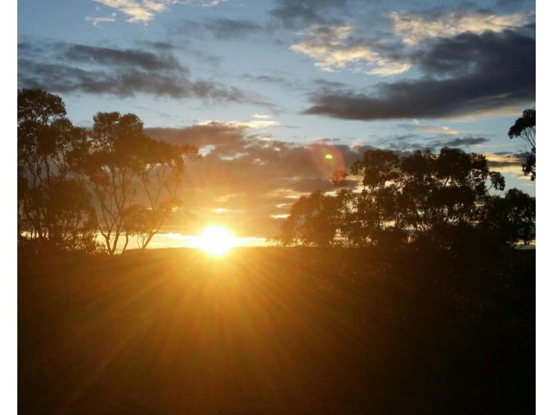 313 Bulls Pitt Road, Goulburn NSW 2580