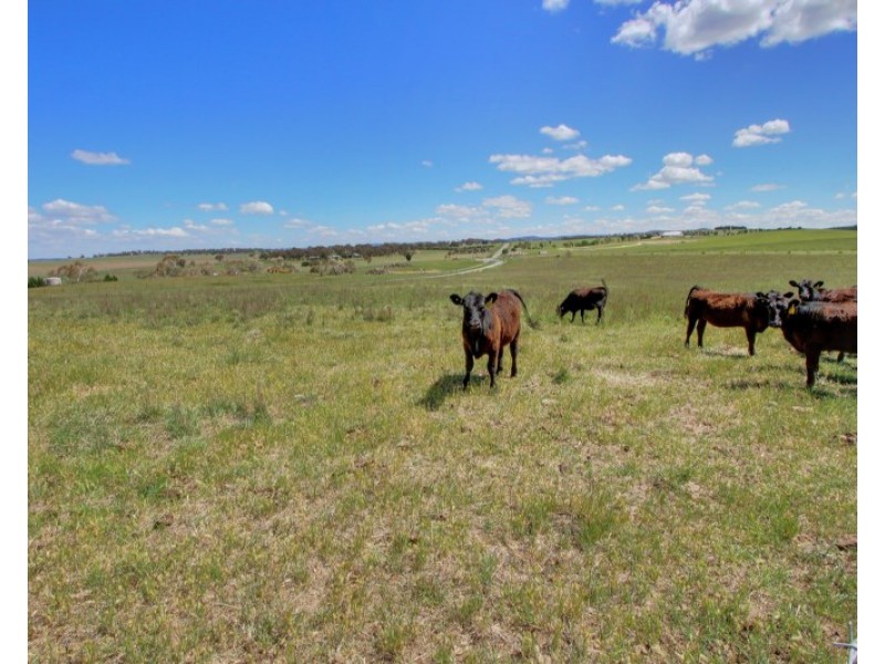 165 Gretta Road, Goulburn NSW 2580