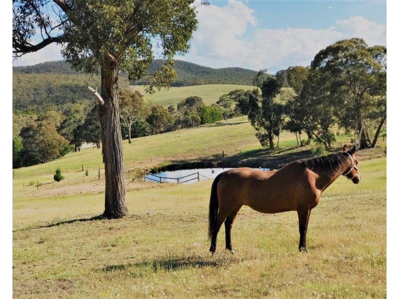 1262 Crookwell Road, Goulburn NSW 2580