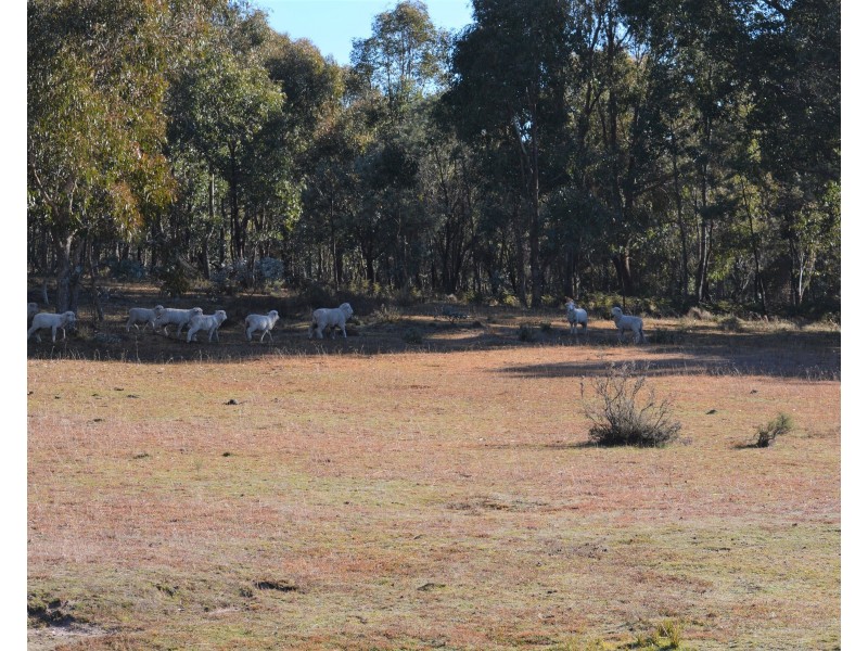 Lot 99 Redground Road, Crookwell NSW 2583