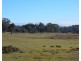 Lot 99 Redground Road, Crookwell NSW 2583