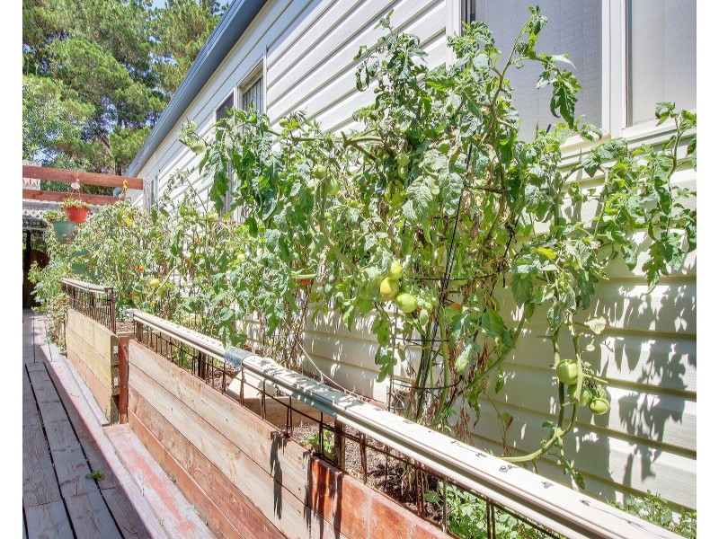 20/149 Hume Street, Goulburn NSW 2580