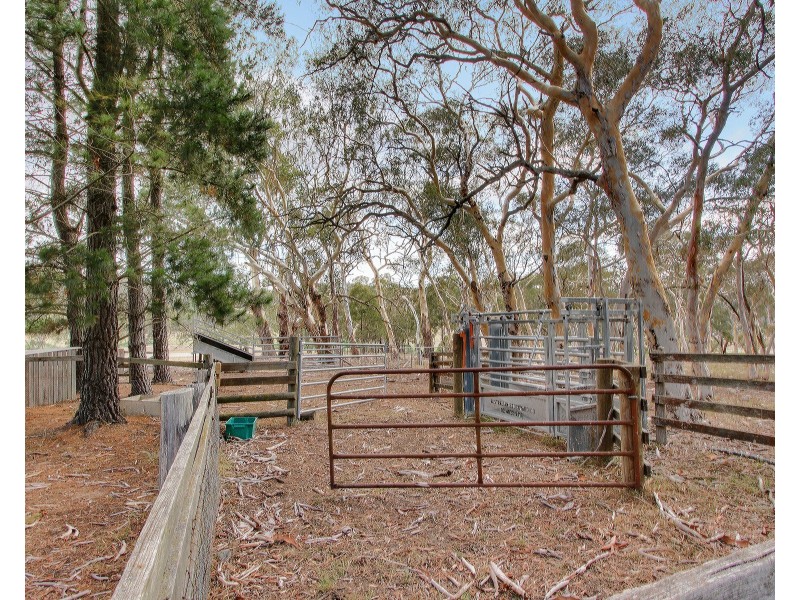 808 Towrang Road, Goulburn NSW 2580