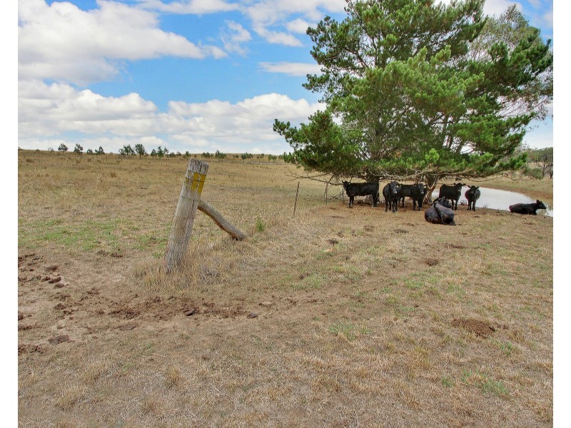 2071 Taralga Road, Goulburn NSW 2580