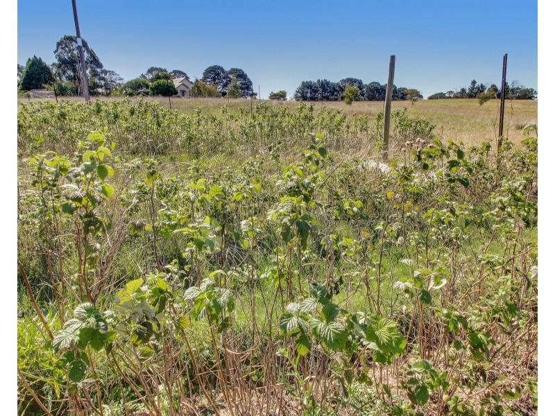 3223 Taralga Road, Goulburn NSW 2580