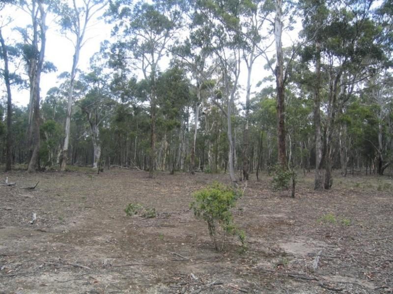 Lot 33 & 36 Inverary Road, Bungonia NSW 2580