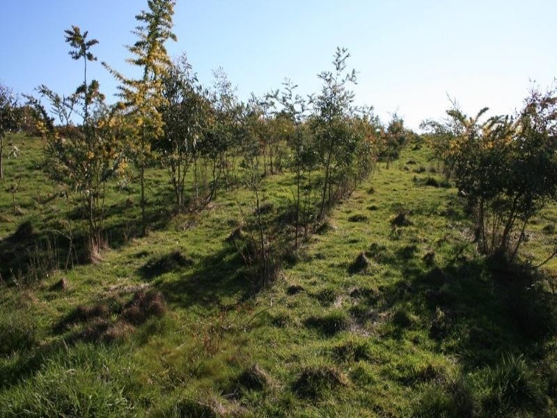 Lot 2 Ironmine Road, Crookwell NSW 2583