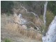 312 Spa Road, Windellama NSW 2580