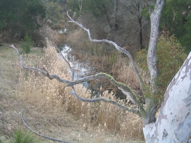 312 Spa Road, Windellama NSW 2580