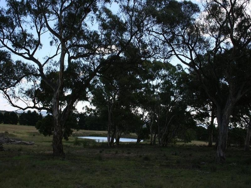 3073 Mayfield Road, Tarago NSW 2580