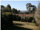 87 Slocombe Street, Goulburn NSW 2580