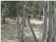 949 Cullulla Road, Goulburn NSW 2580