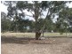 949 Cullulla Road, Goulburn NSW 2580