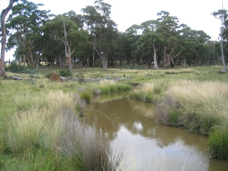 Lot 97 Davis Lane, Grabben Gullen NSW 2583