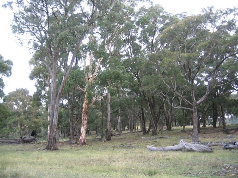 Lot 97 Davis Lane, Grabben Gullen NSW 2583