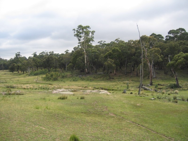 Lot 97 Davis Lane, Grabben Gullen NSW 2583