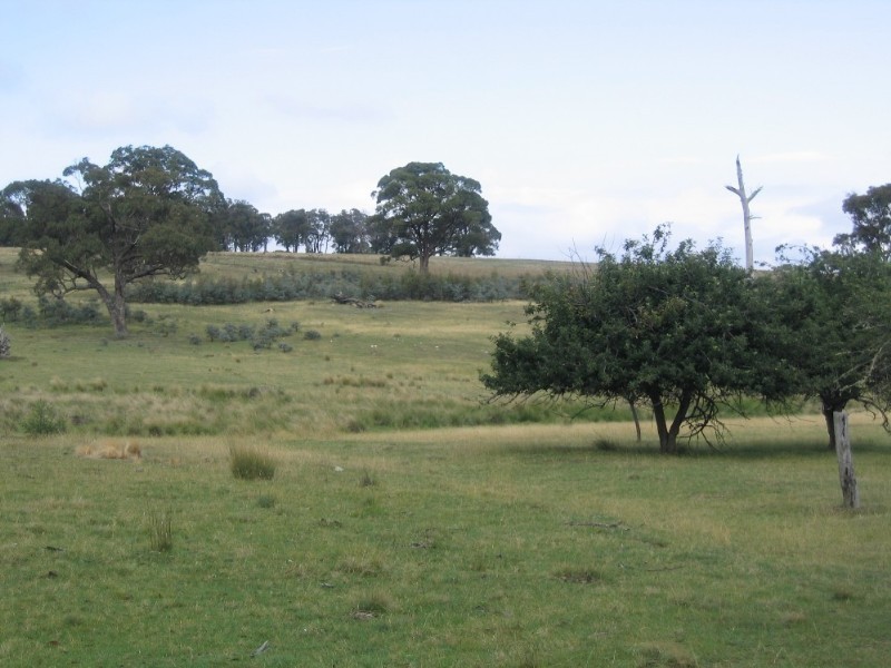 Lot 97 Davis Lane, Grabben Gullen NSW 2583