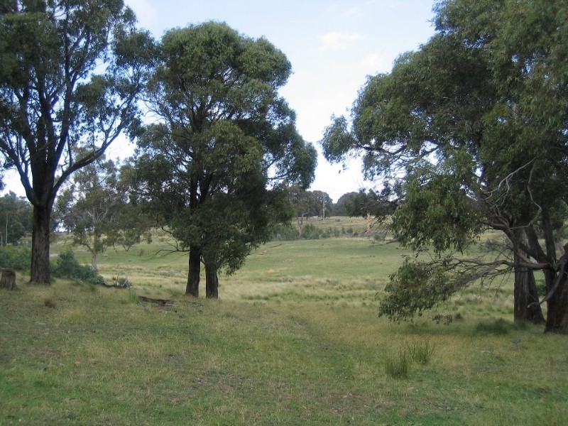 Lot 97 Davis Lane, Grabben Gullen NSW 2583