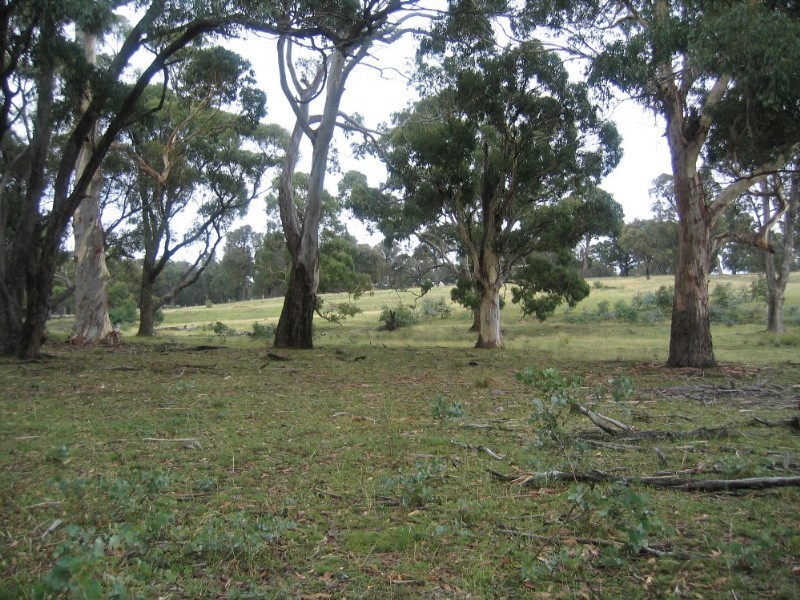 Lot 97 Davis Lane, Grabben Gullen NSW 2583