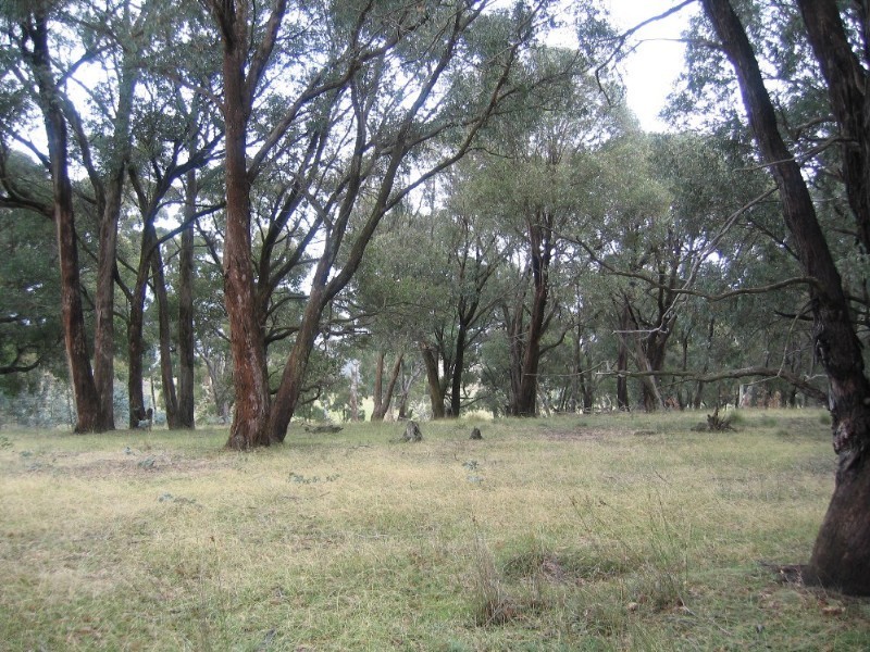 Lot 97 Davis Lane, Grabben Gullen NSW 2583