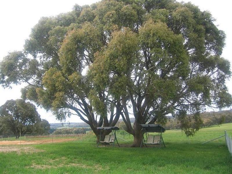 125 Kennedys Road, Grabben Gullen, Crookwell NSW 2583