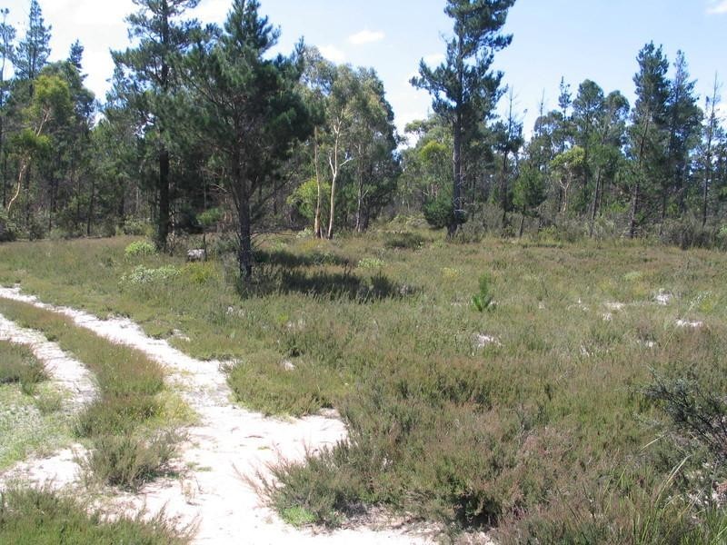 122 Mogo Road, Oallen, Goulburn NSW 2580