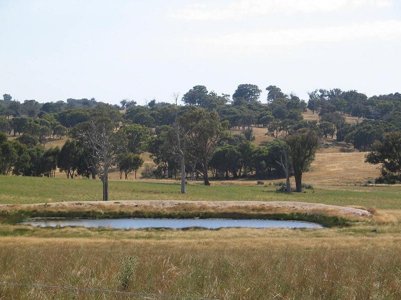 598 Bevandale Road, Wheeo, Goulburn NSW 2580