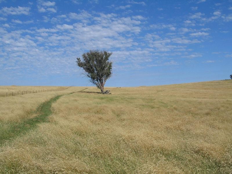 598 Bevandale Road, Wheeo, Goulburn NSW 2580