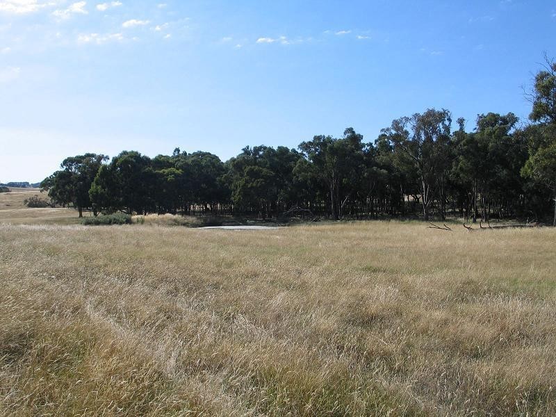 598 Bevandale Road, Wheeo, Goulburn NSW 2580