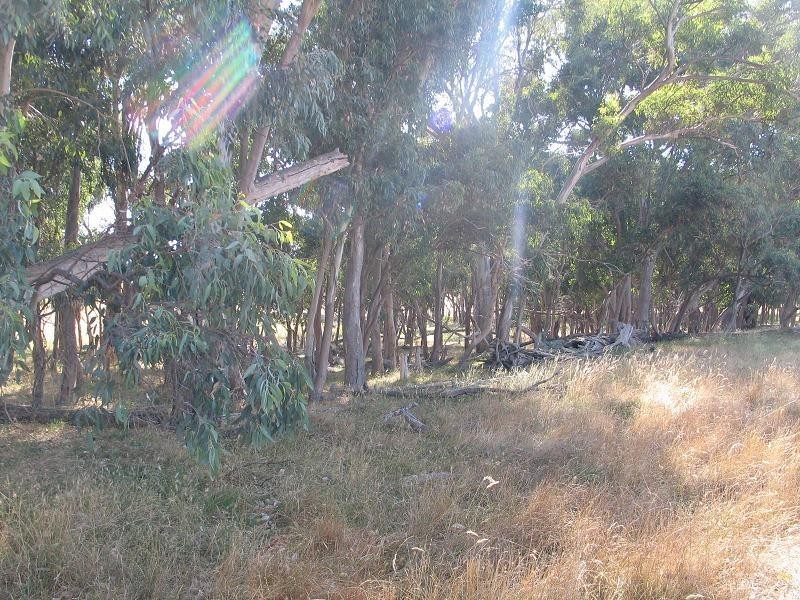 598 Bevandale Road, Wheeo, Goulburn NSW 2580