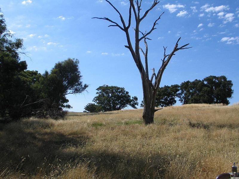 598 Bevandale Road, Wheeo, Goulburn NSW 2580