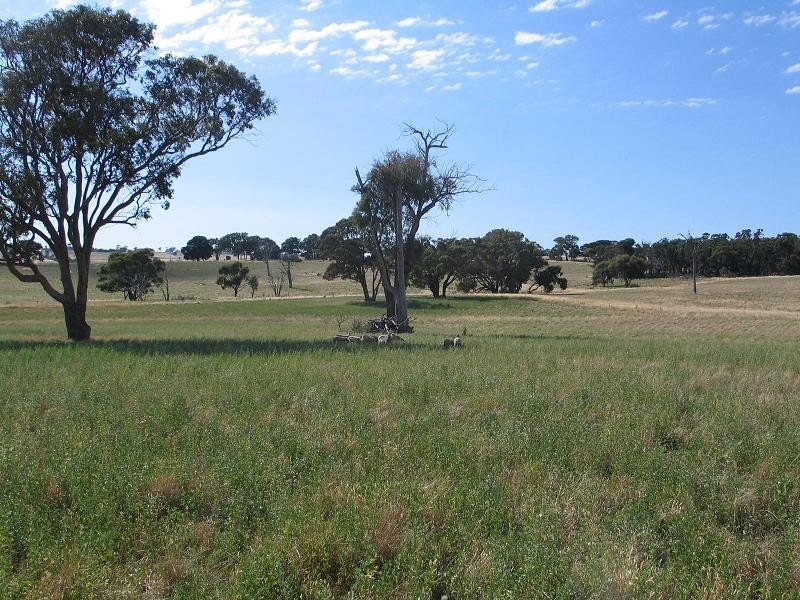 598 Bevandale Road, Wheeo, Goulburn NSW 2580