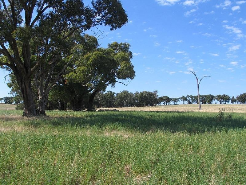 598 Bevandale Road, Wheeo, Goulburn NSW 2580