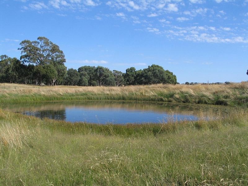 598 Bevandale Road, Wheeo, Goulburn NSW 2580