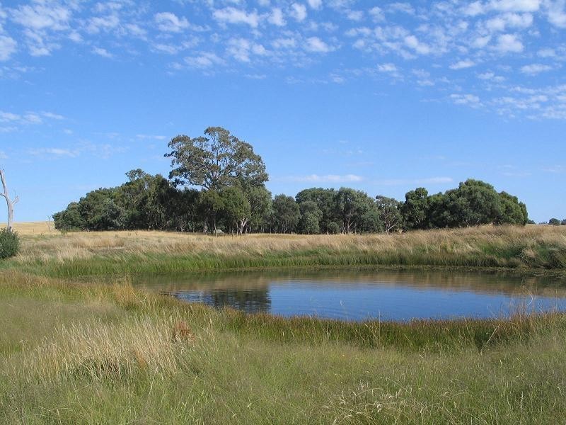 598 Bevandale Road, Wheeo, Goulburn NSW 2580